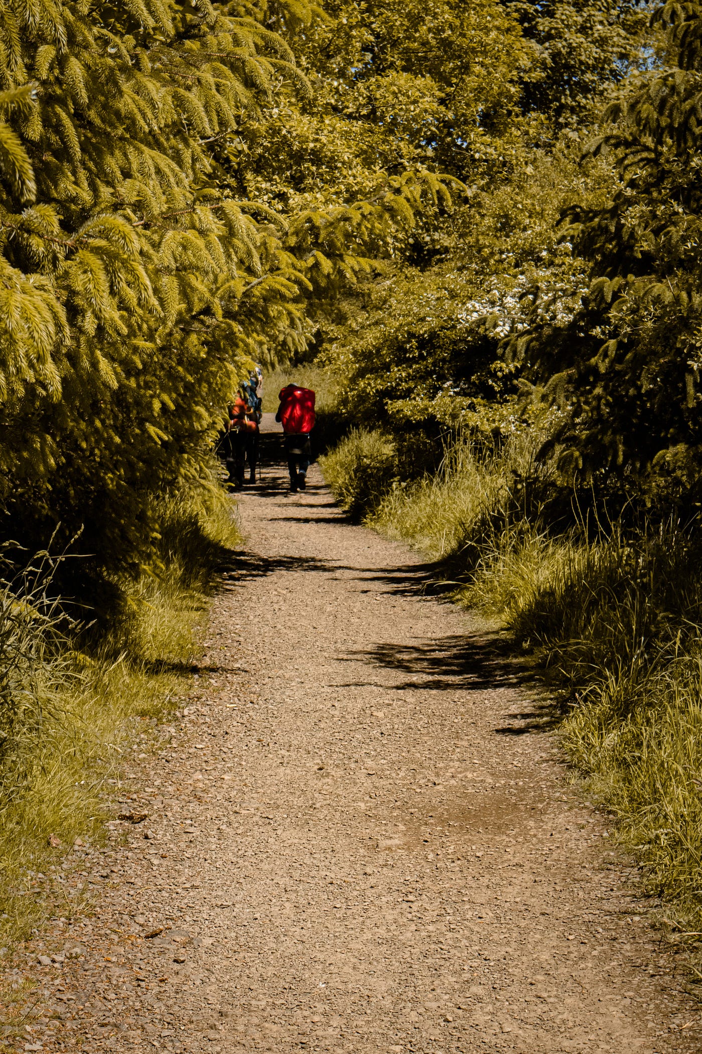 Photo by Vishnu Prasad on Unsplash