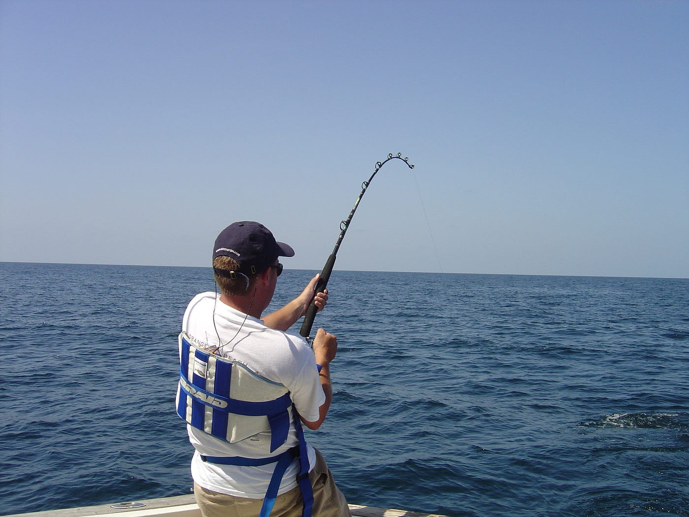 How Fishing Works. Fishing is an activity of trying to…