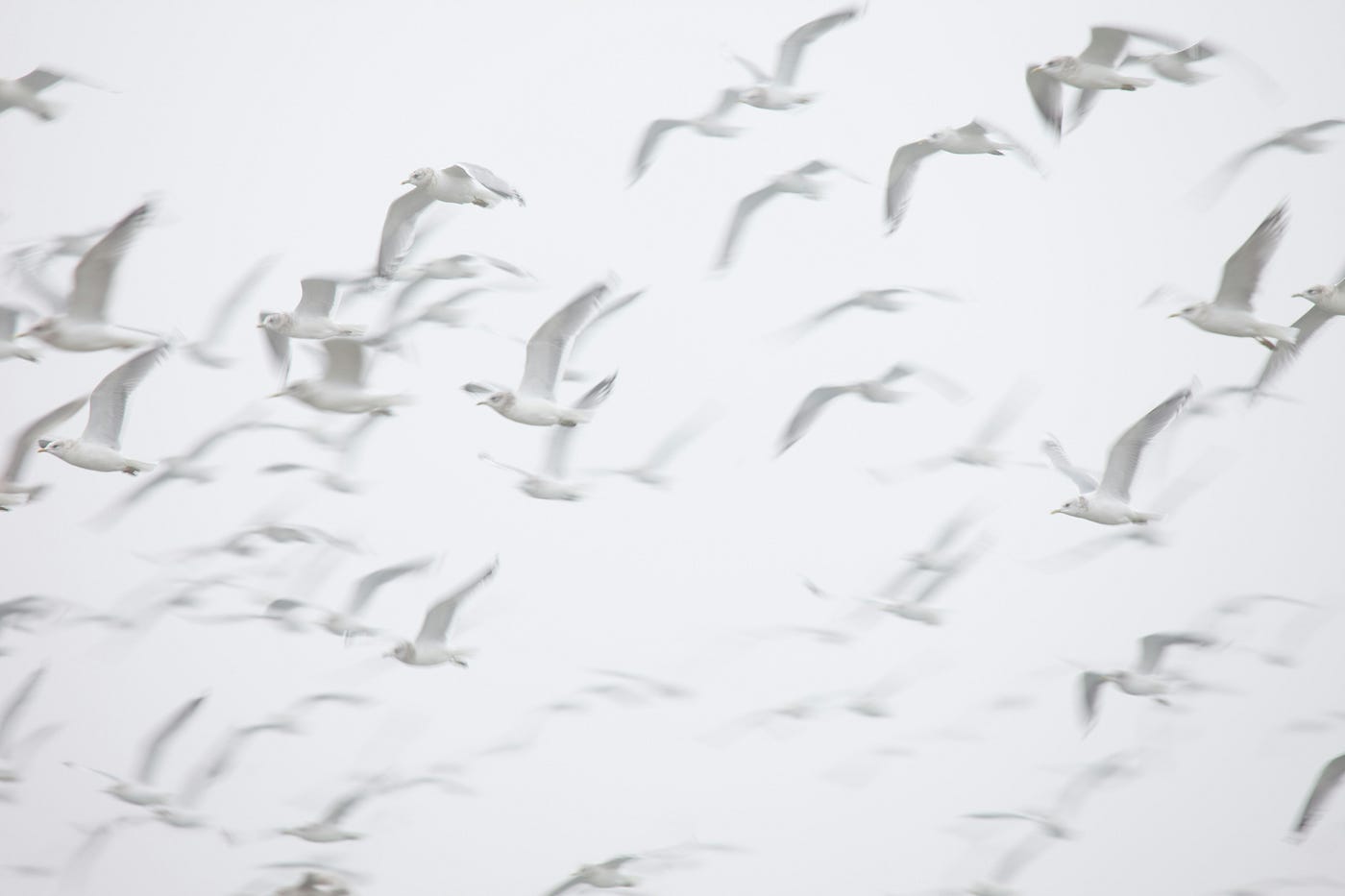 Photo by thom masat on Unsplash