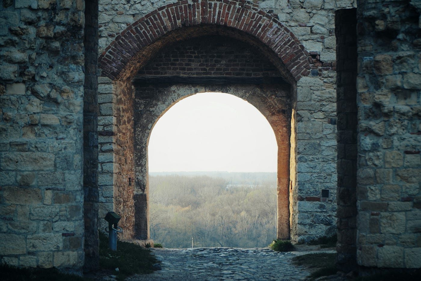 Photo by Ivan Aleksic on Unsplash