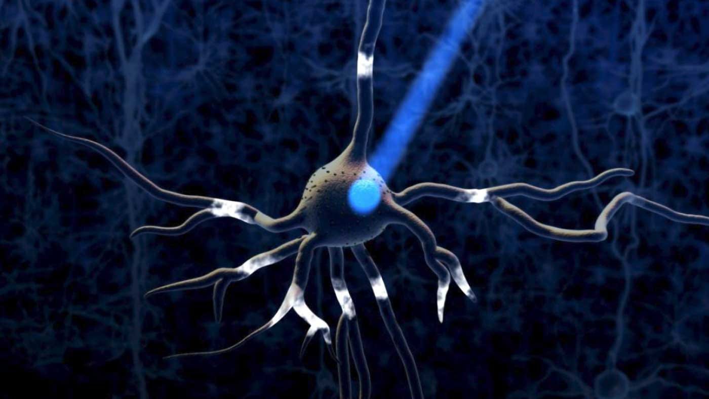 image by https://www.dana.org/article/optogenetics/ of a neuron being activated by light