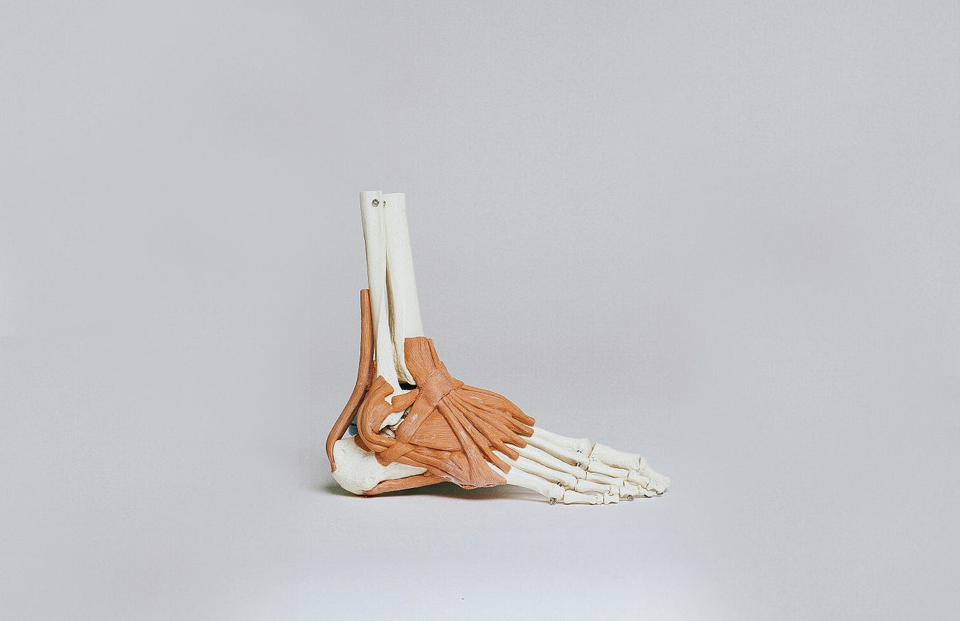 Posterior Tibial Tendonitis Swimming