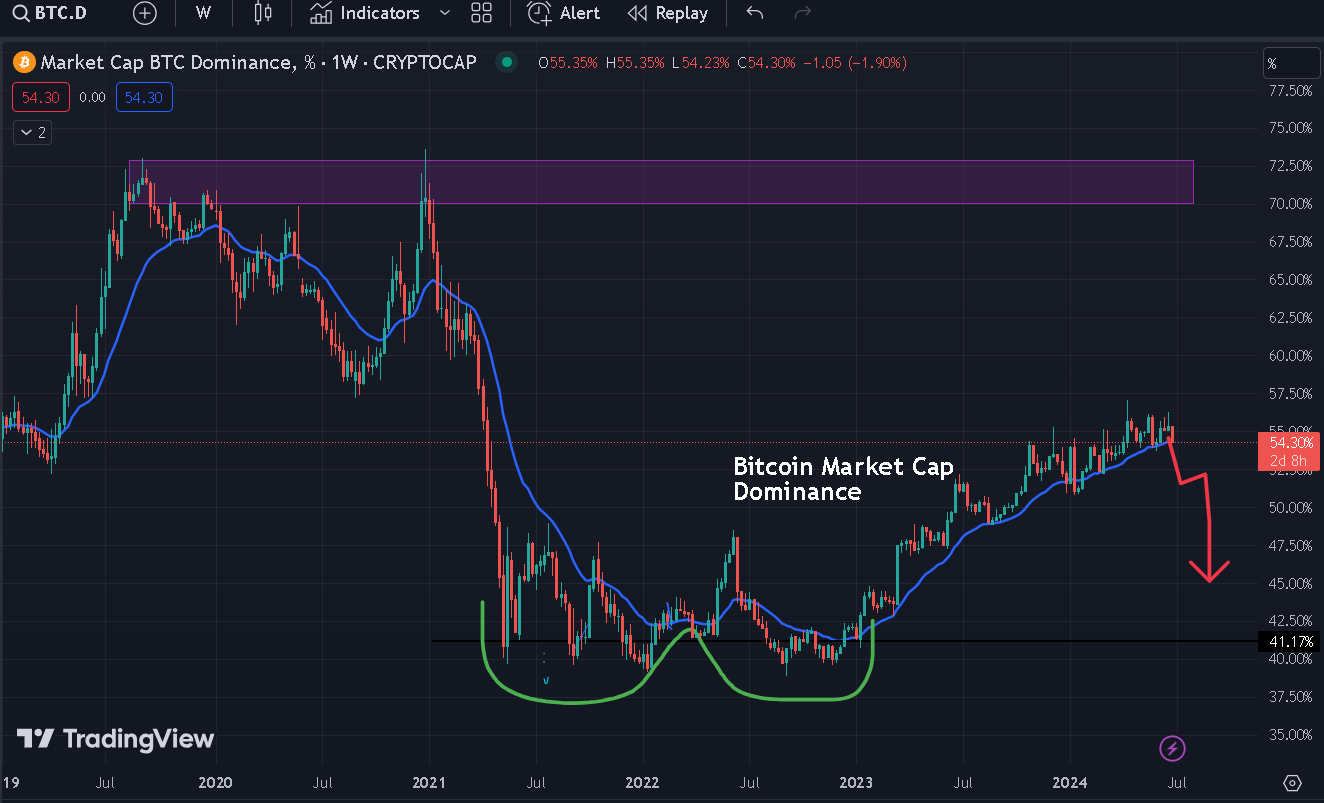 The Altcoin Season In Perspective: Factors That Could Trigger A Bullish Alt  Season in Q4 or Early 2025 | by Jonas (Crypto Big Stories) | InsiderFinance  Wire