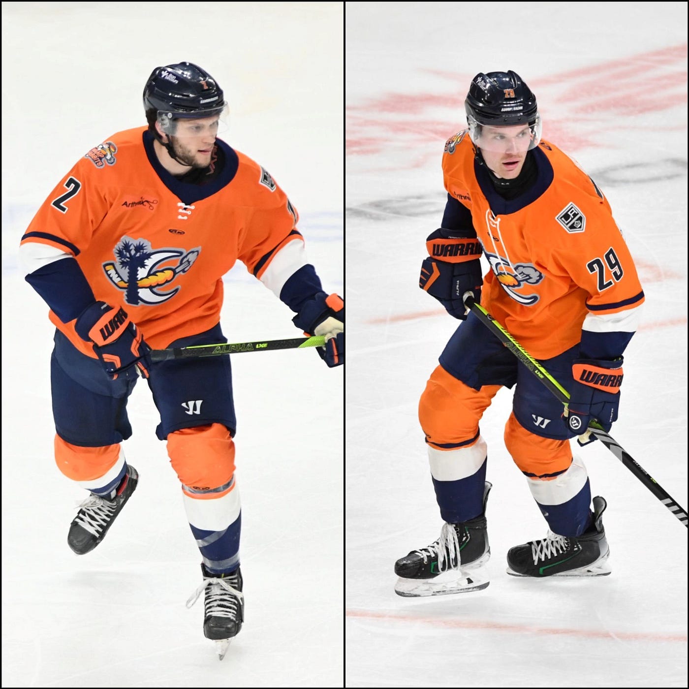 SWAMP RABBITS RETURN D MODRY AND BRITT