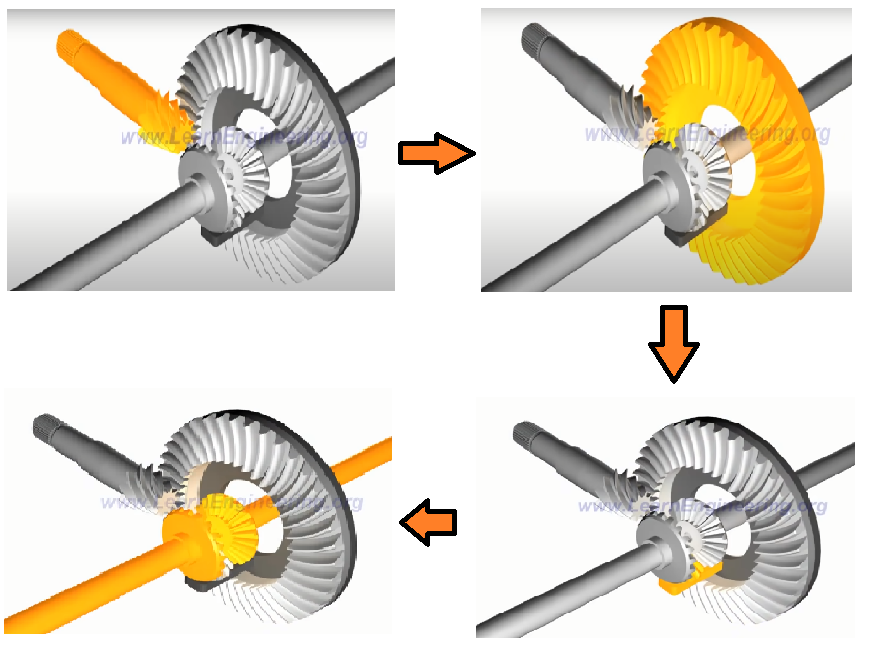 Spur Gear Differential Animation