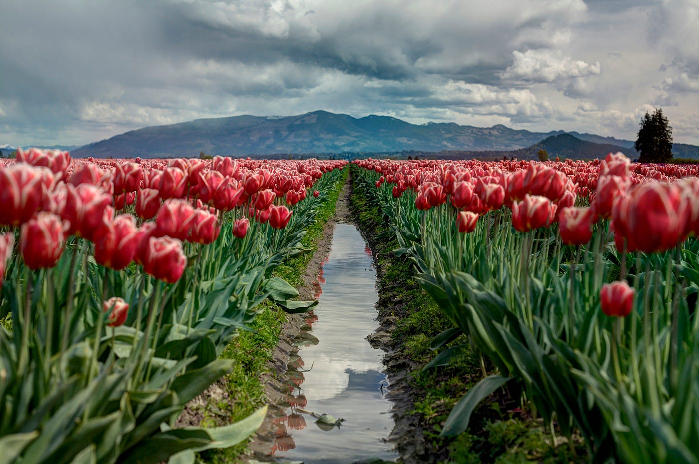 Photo by Zach Taiji on Unsplash