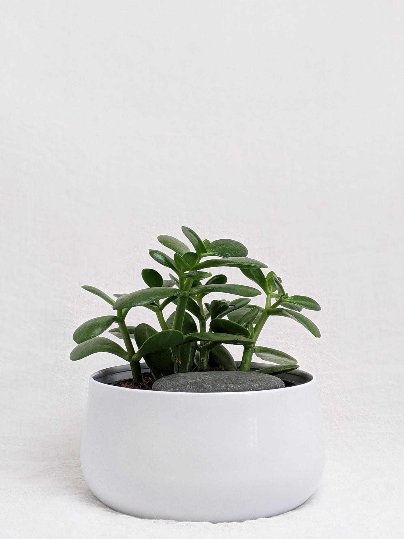 large hanging pots for plants EXTRA LARGE HANGING BASKETS – Johansen Farms
