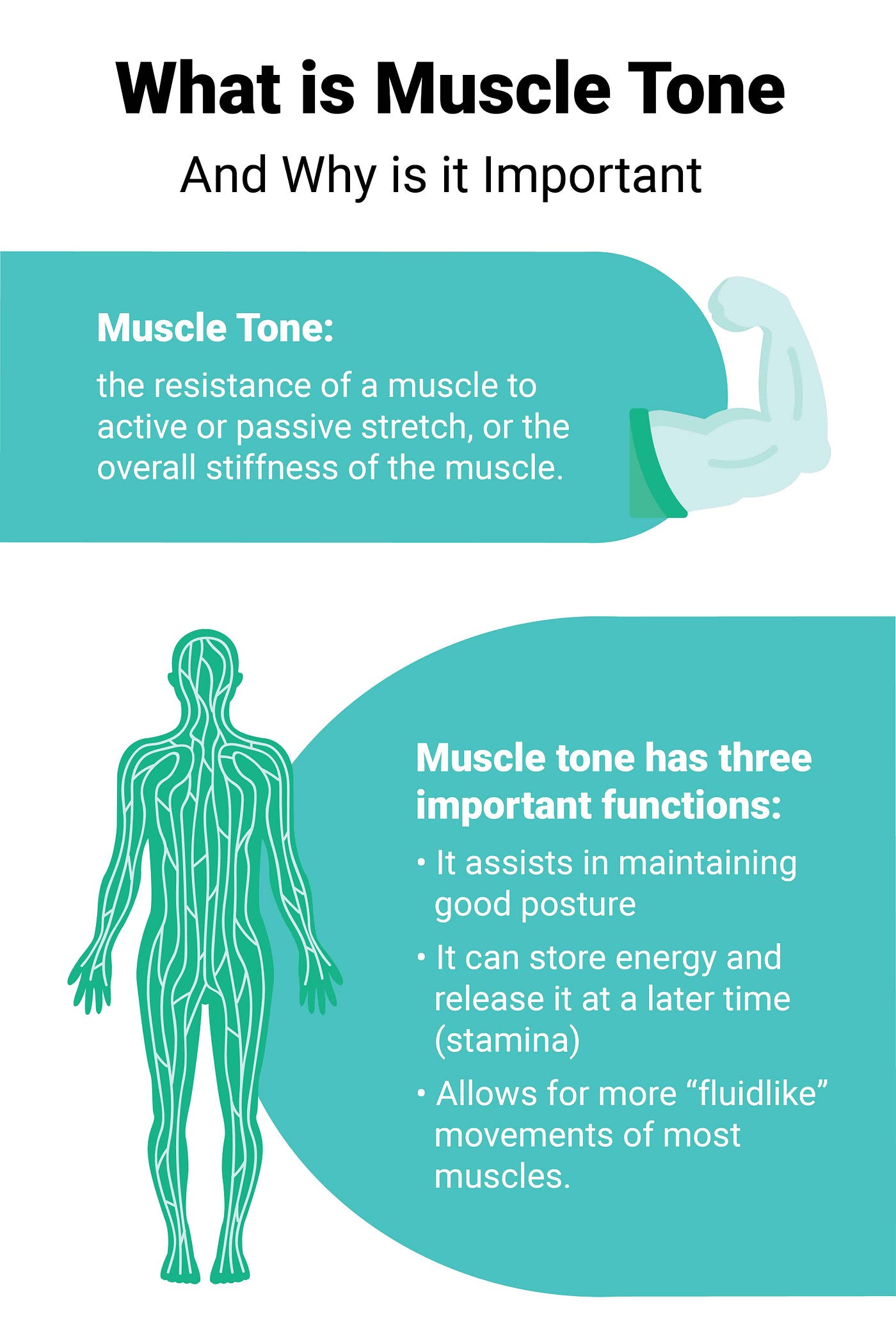 søsyge Ingen kranium What Is Muscle Tone, And Why Is It Important? | by Nutrition Realm | Medium
