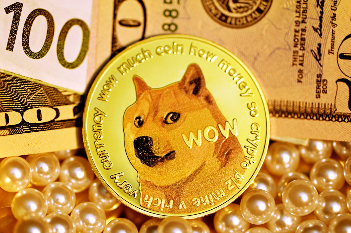13 Uses of Dogecoin you never knew about: A blog where I explain how to use  dogecoin. | by Rijul Singh Malik | Medium