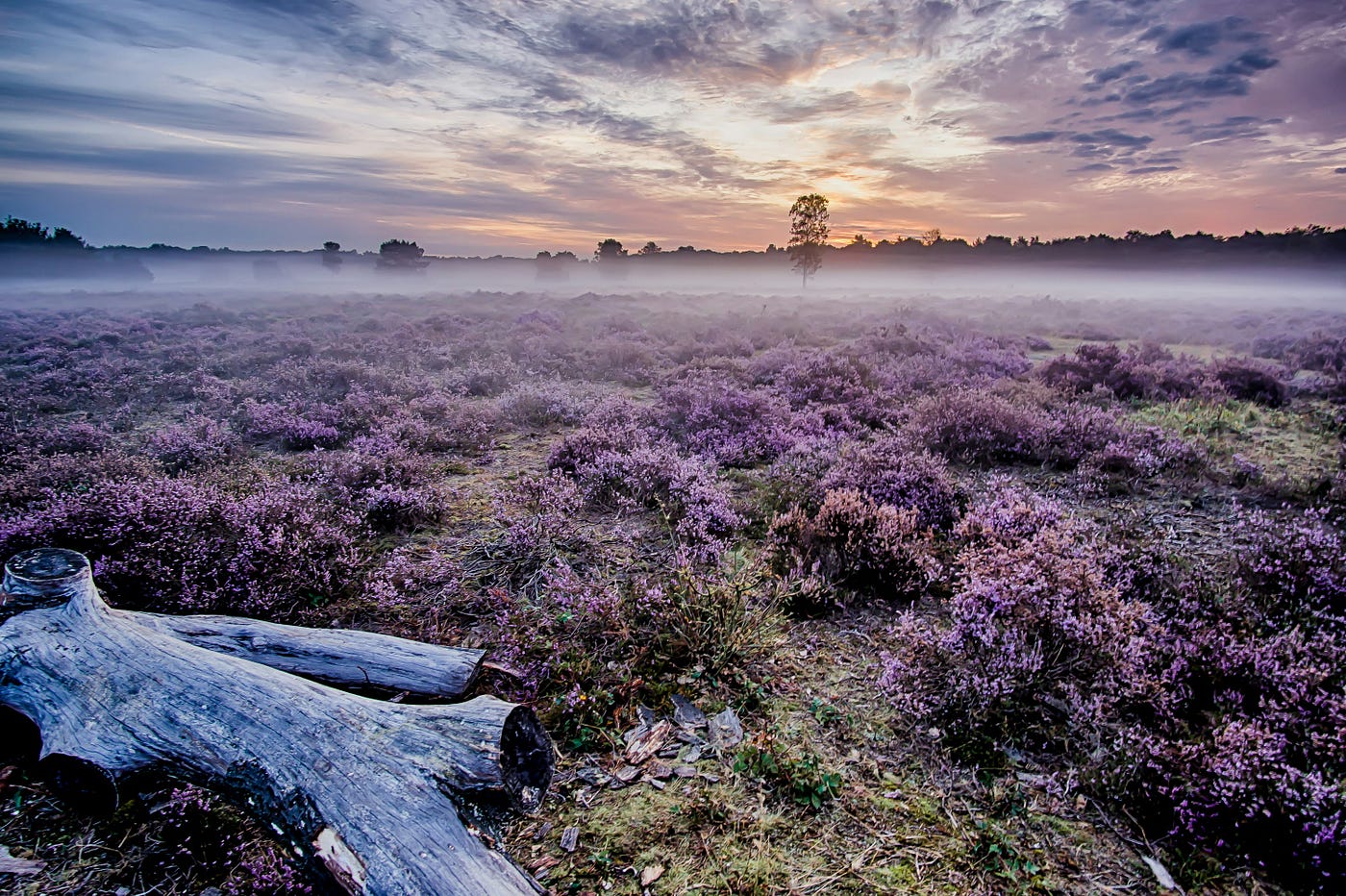 Photo by Joran Quinten on Unsplash