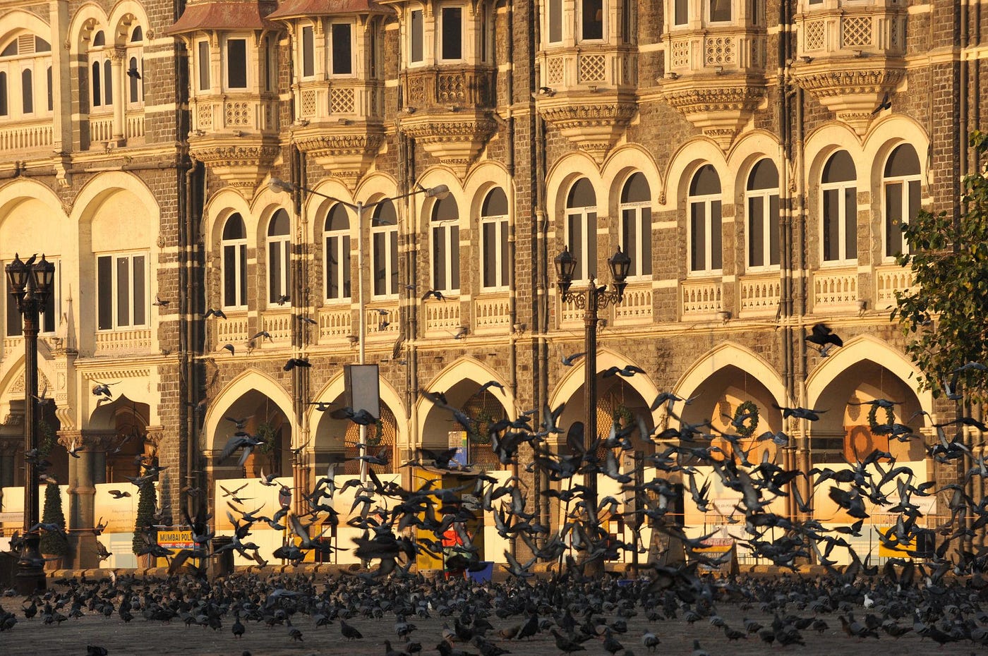 Pigeons in front of Taj Hotel, Mumbai, Maharashtra, India on Alamy
