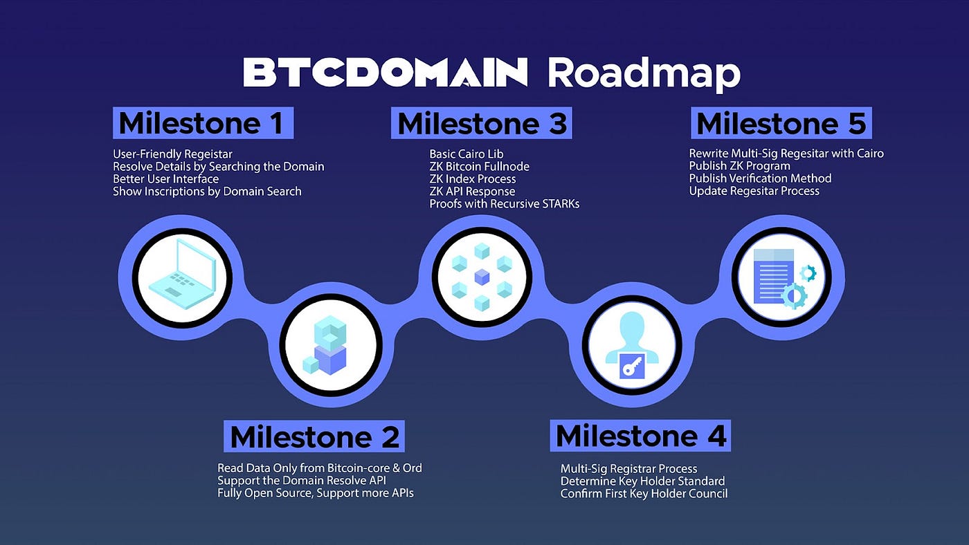 Project Overview: BTC Domain. Are you among those individuals who… | by  Slobodzeanb | Satoshi Club | Medium