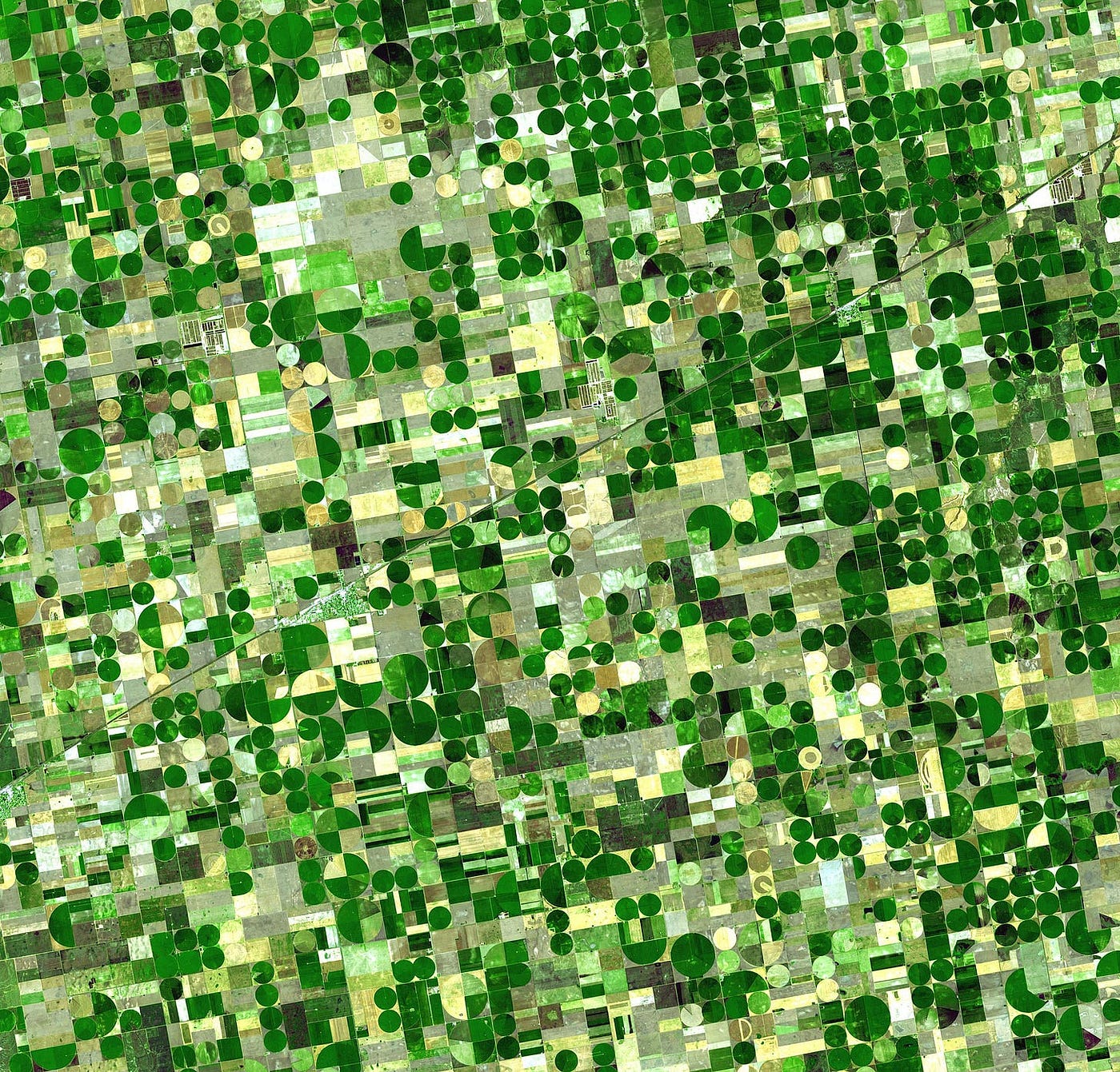Satellite image of crops in Kansas. The circles are made by center-pivot irrigation systems. [Credit: NASA, public domain.]