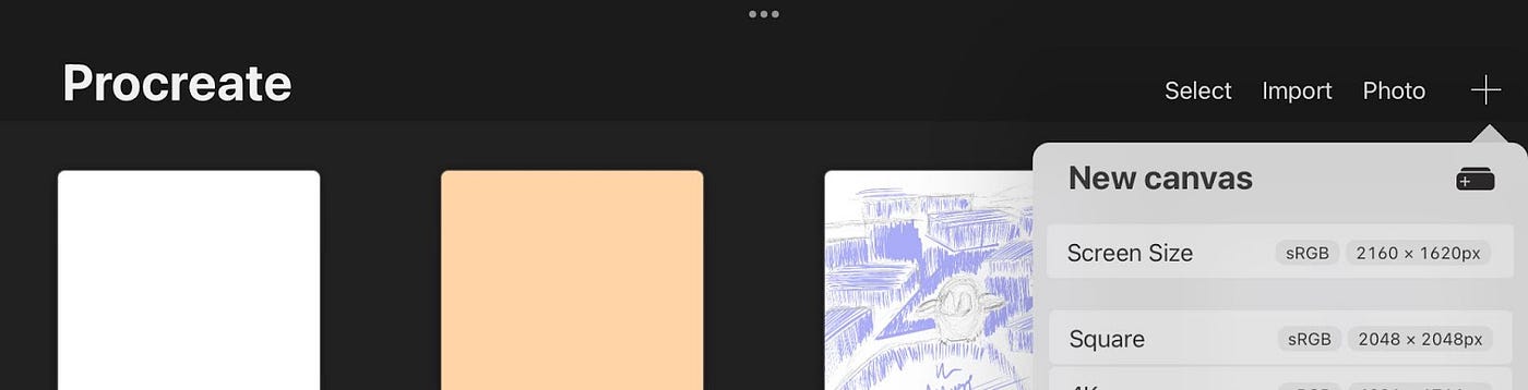 How to choose the best canvas settings for Procreate? | by Ashish Dangol |  Medium
