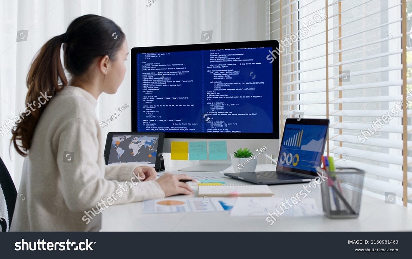Go Programming : The Basics Students Should Know