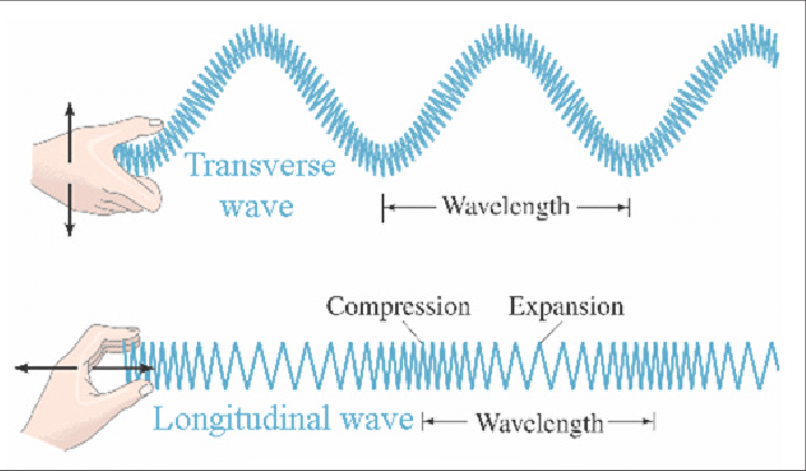 Week 1: An Introduction to Waves. Waves are arguably one of the most… | by  Brain_Boost | Medium