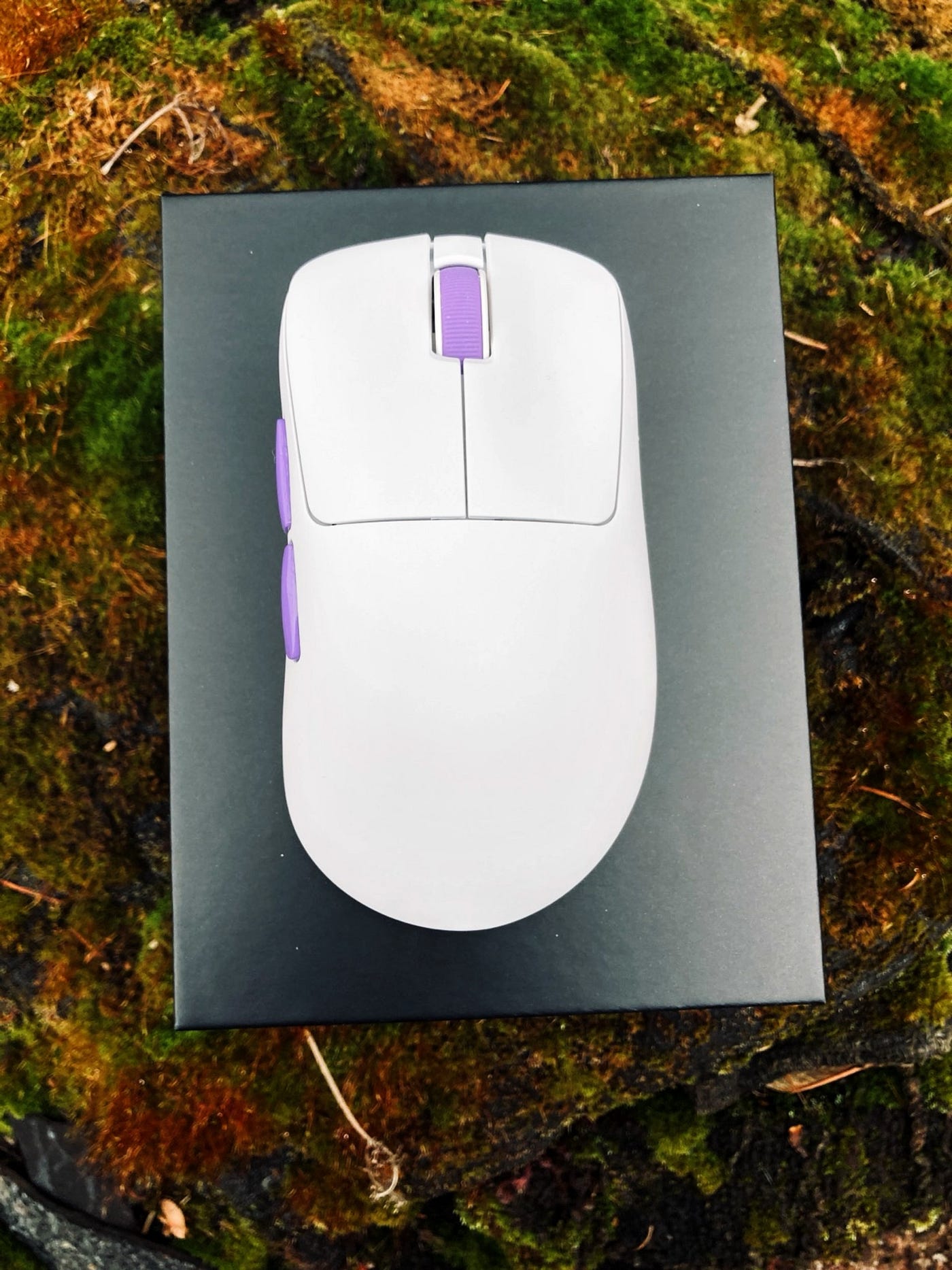 Akko Nest Review — A Safe Ergo That Plays It Too Safe | by Damian