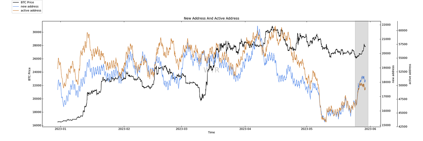 满目青山，载月明归｜WTR 5.29