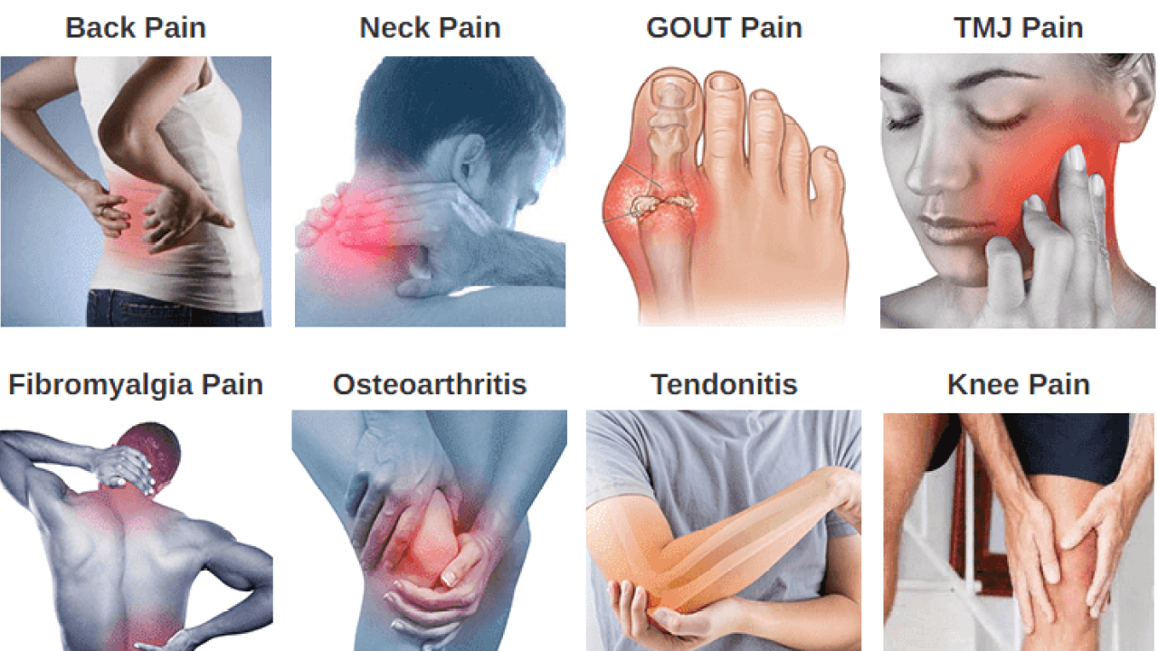 Bloom CBD Gummies world popular pain relief | by Soniapandit | May, 2024 |  Medium