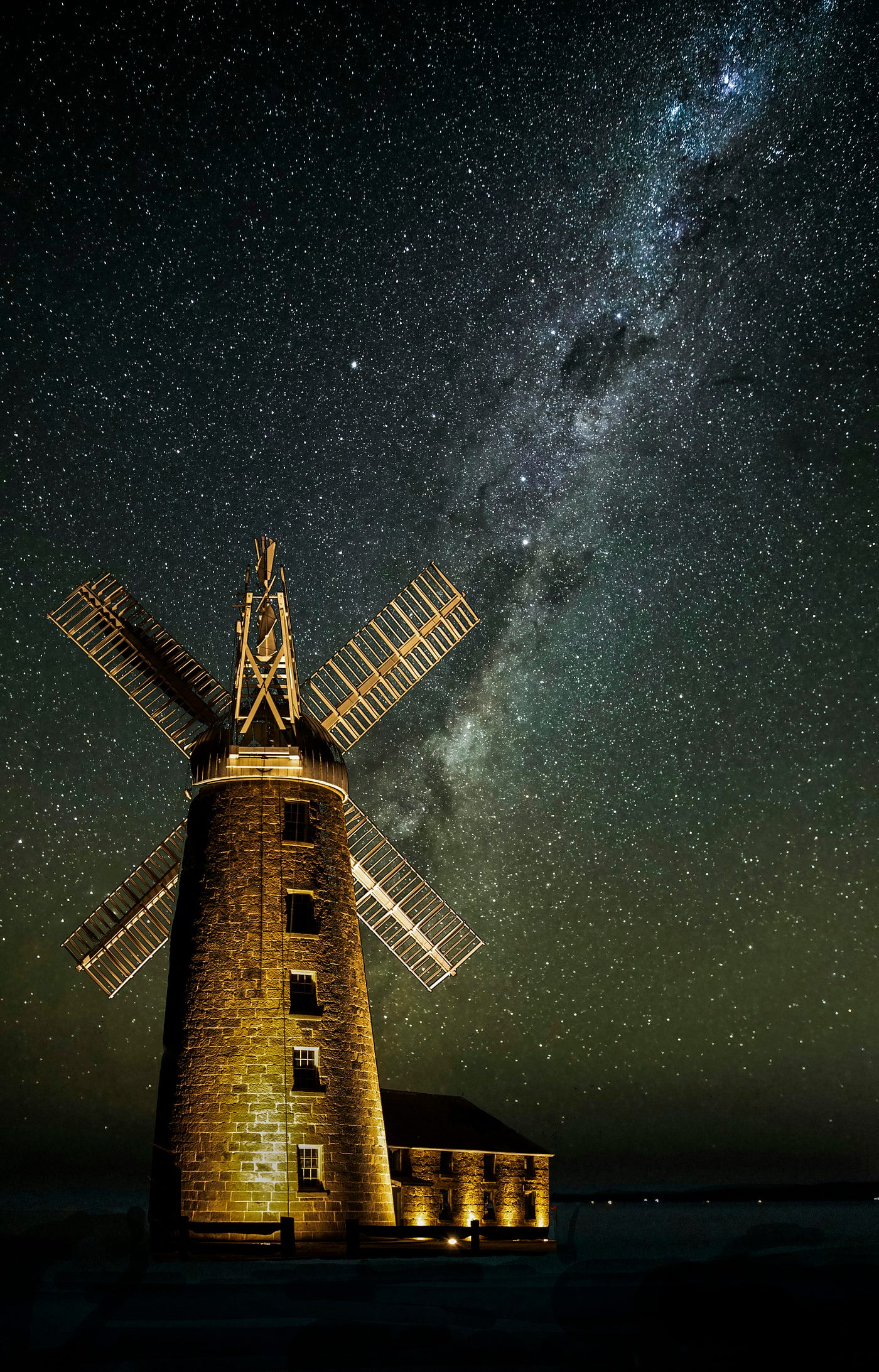 Photo by Trevor McKinnon on Unsplash