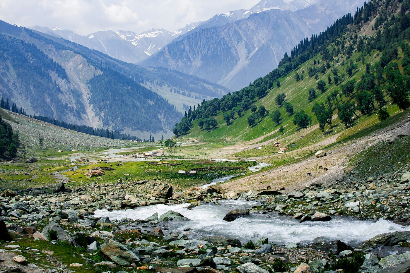 Photo by Yasser Mir on Unsplash