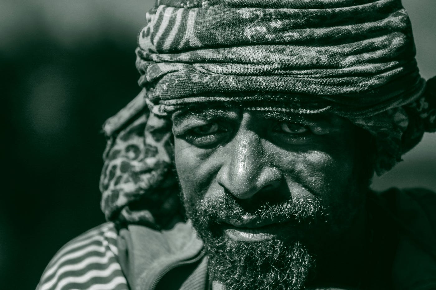 Photo by shalom melaku on Unsplash