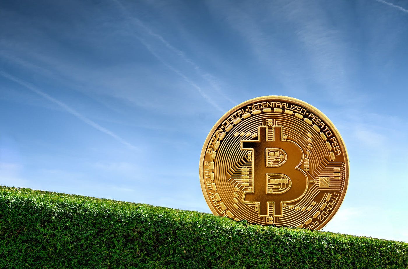 4 Ways to Hedge Out Your Cryptocurrency Exposure | by Cham Ho | Good  Audience