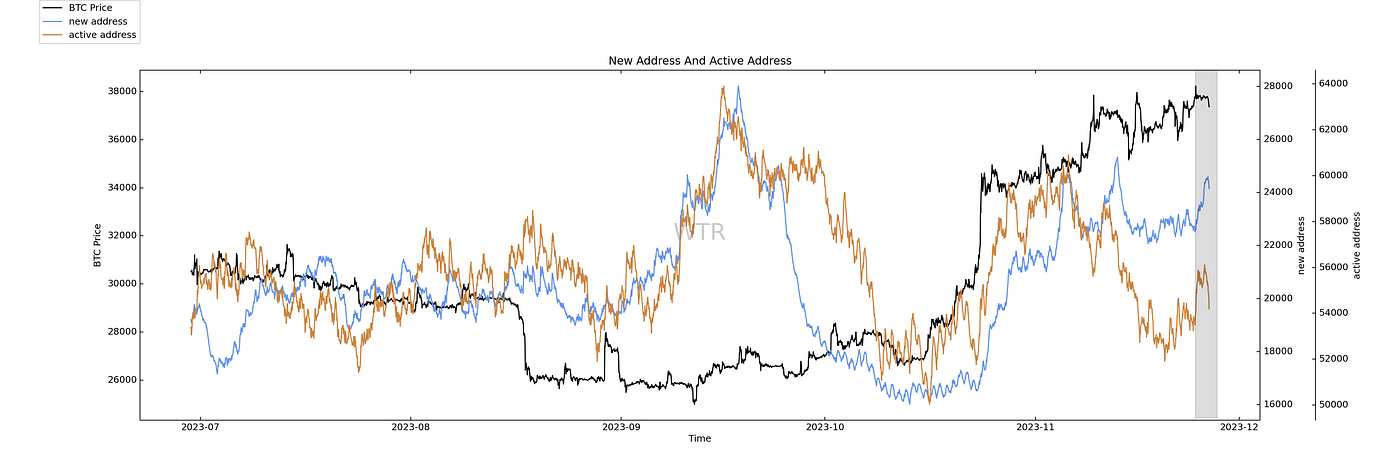 花晨月夕，洪炉点雪｜WTR 11.27