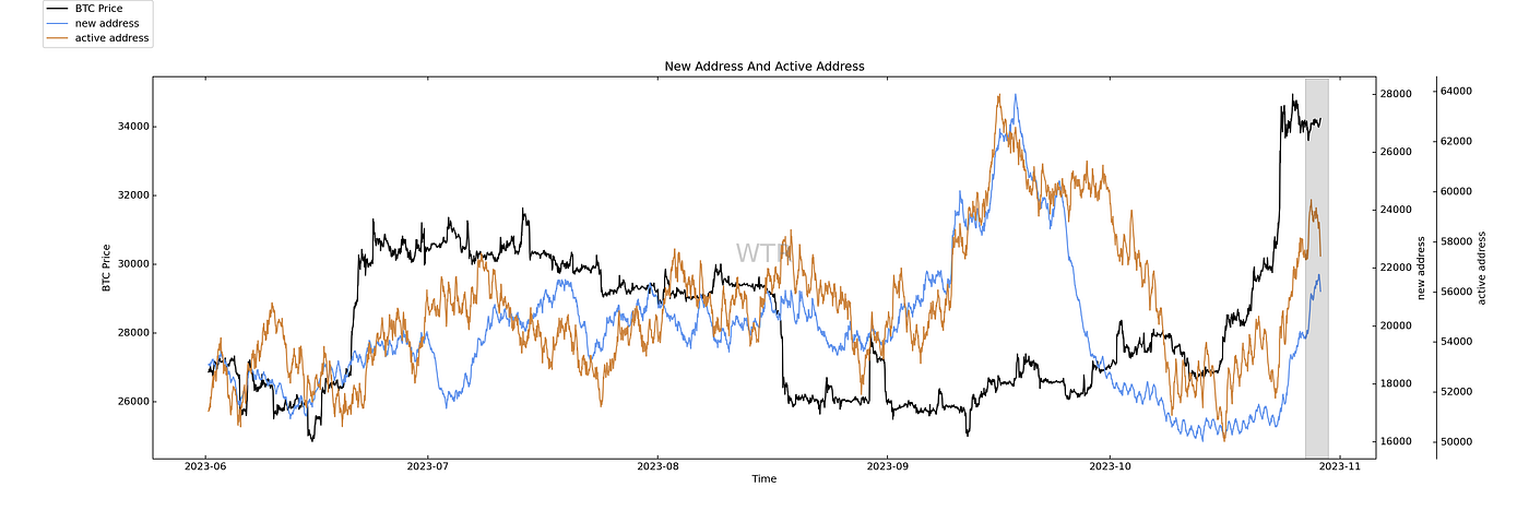 拨雪寻春，烧灯续昼｜WTR 10.30