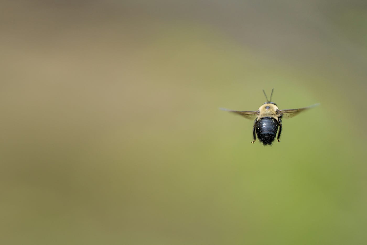 Photo by Eric Harnisch on Unsplash