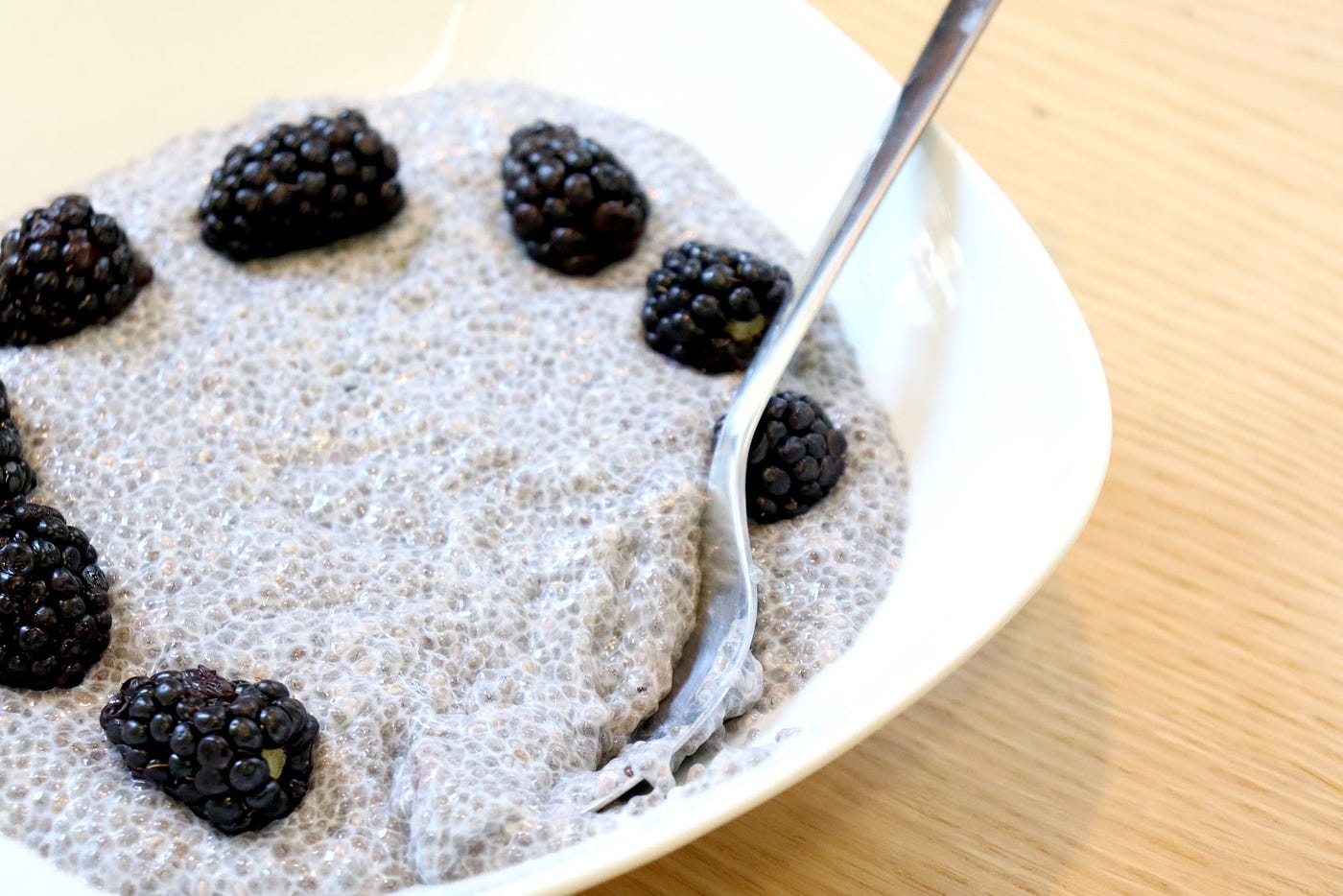 Steady Health's Chia Seed Pudding | by Niloufar Novin | Steady Health