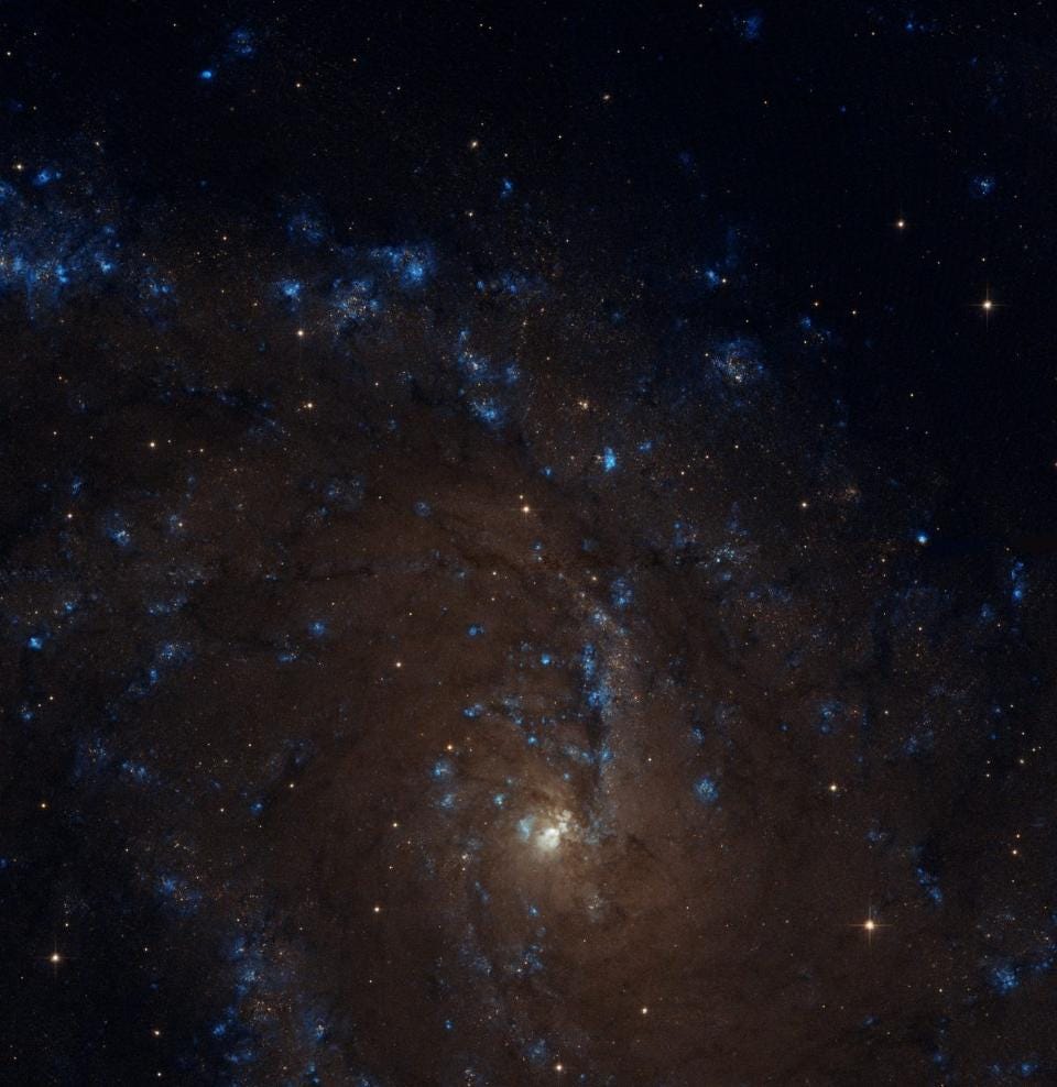 Closest supernova in years brings cosmic fireworks to Earth's