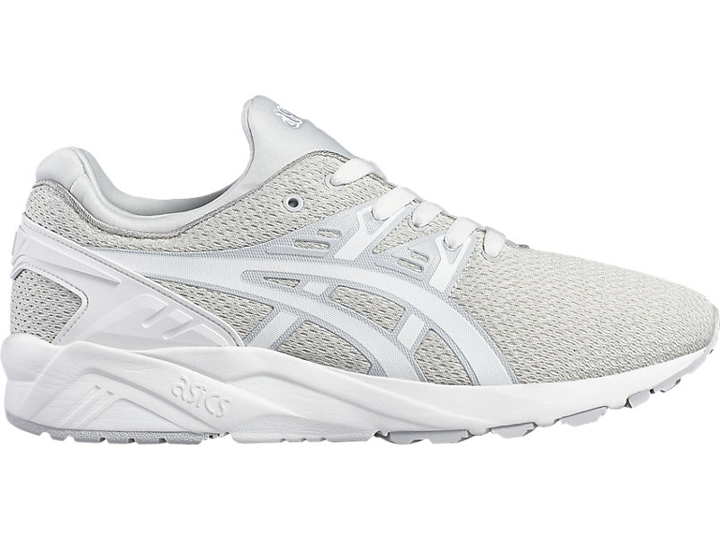 Difference between the Asics Kayano and Kayano Evo | by Simon William |  Medium