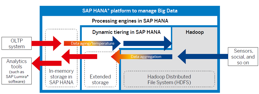 SAP HANA's Big Data strategy. With the amount of data in the digital… | by  ZaranTech | Medium