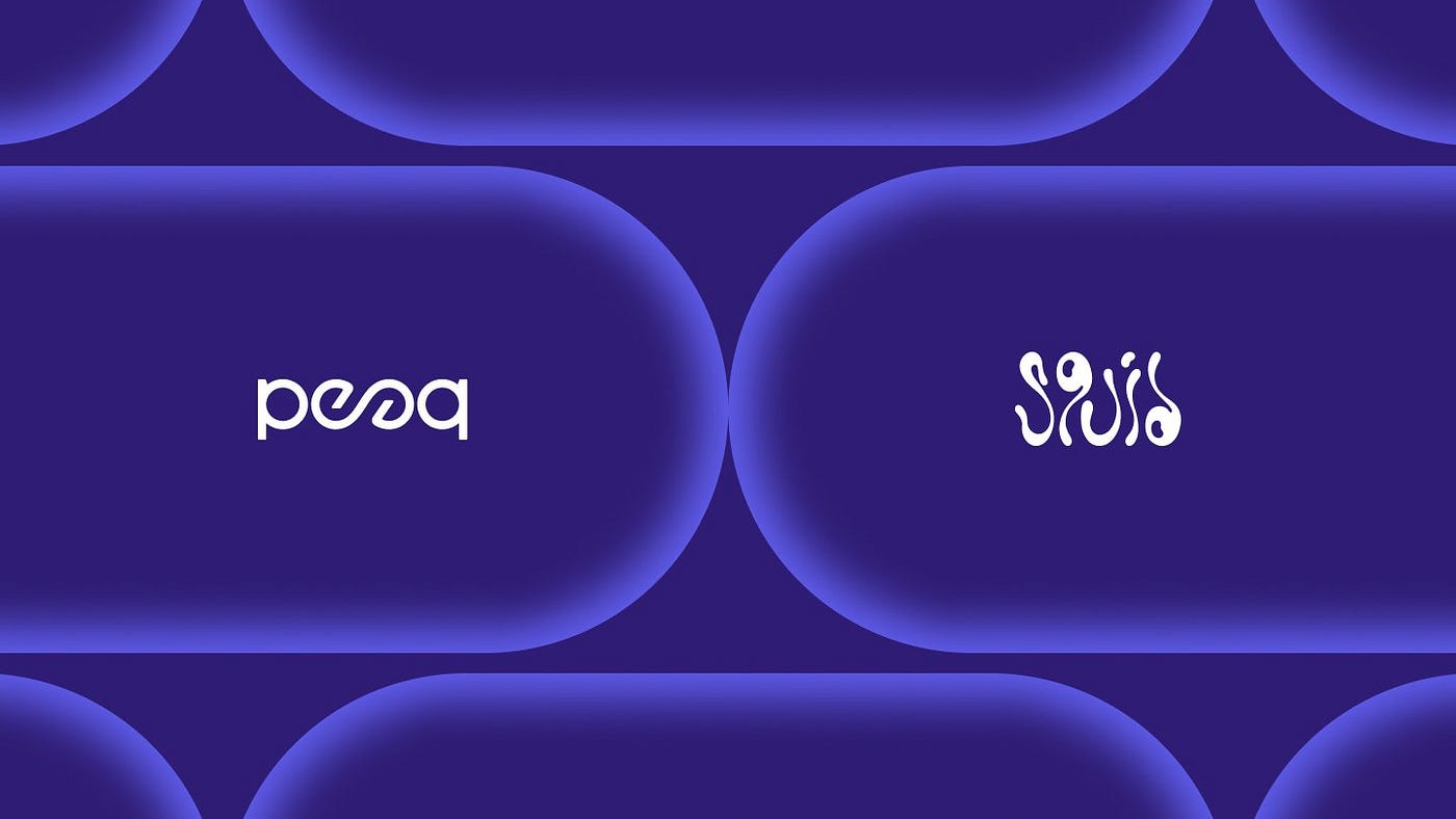 Squid Router for Developers and DevOps Teams | by Dataara Elara Kate Anne |  Medium