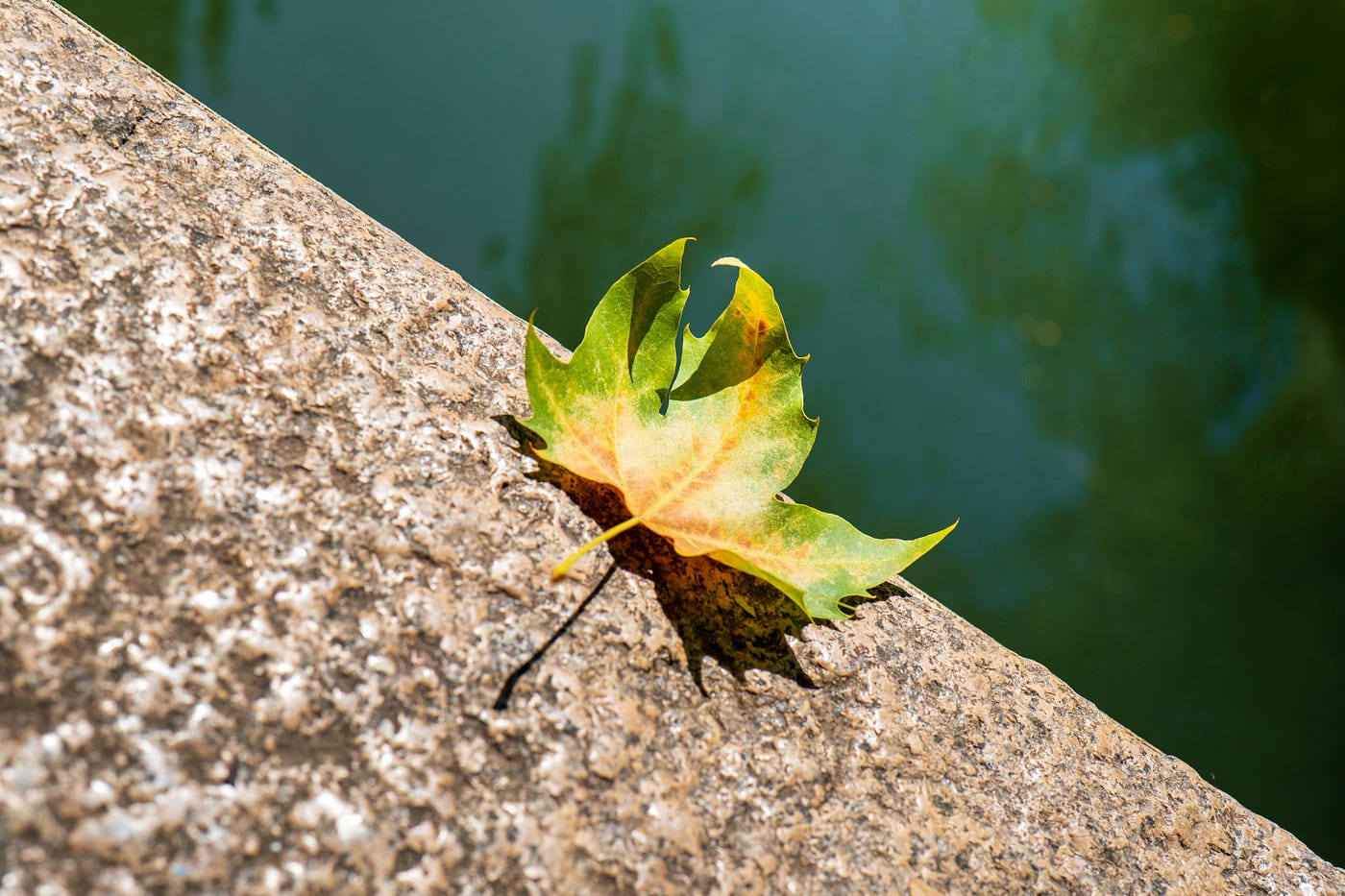 Photo by Low Angle on Unsplash
