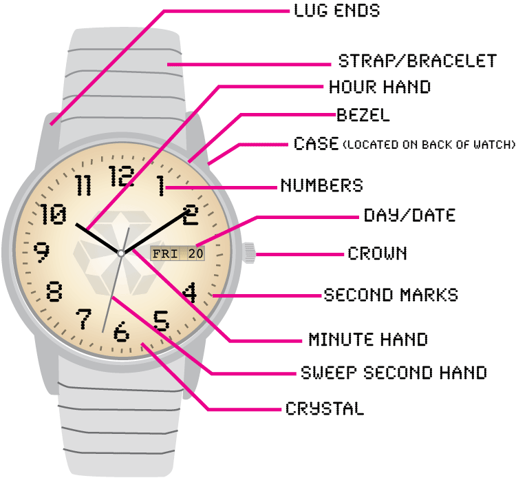 Basic parts of Watch Body everyone Must Know. | by Tincy Tan | Medium