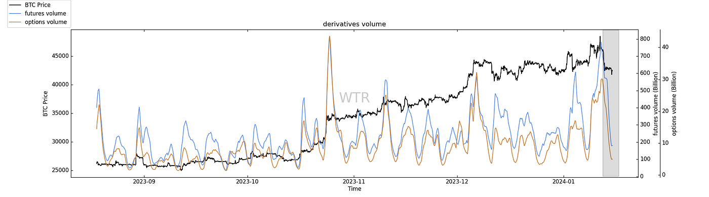 灼灼韶华,风禾尽起｜WTR 1.15