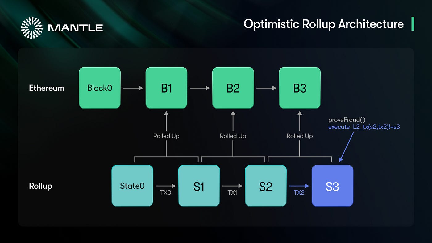 Diving into the Rollup Landscape: Zero-Knowledge and Optimistic | by Mantle  Network | 0xMantle | Medium