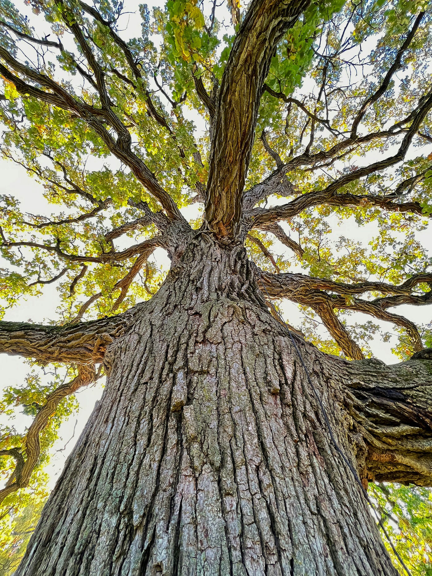 Photo by Dulcey Lima on Unsplash