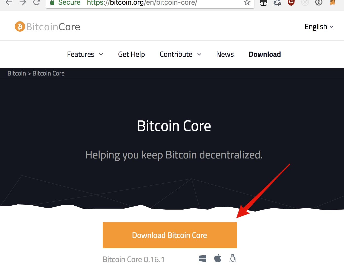 Bitcoin Lightning Network #1: Can I compile and run a node? | by Andreas  Brekken | Shitcoin.com | Medium