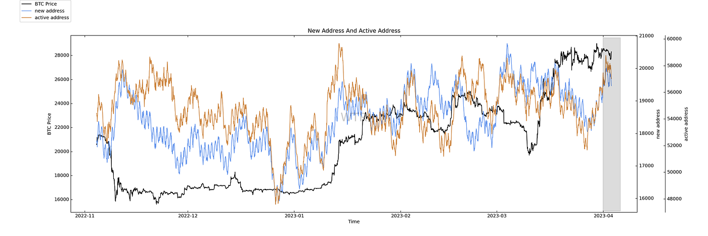 挑盡春風，觀海潮生｜WTR 4.03