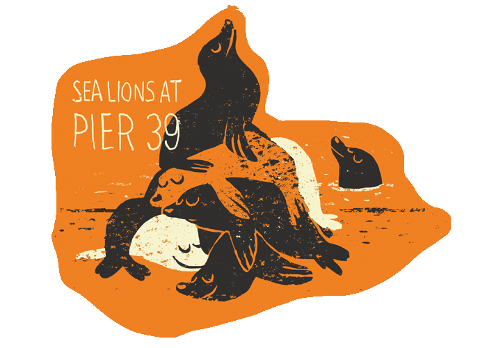 Bi-animals_sealions_082113-2