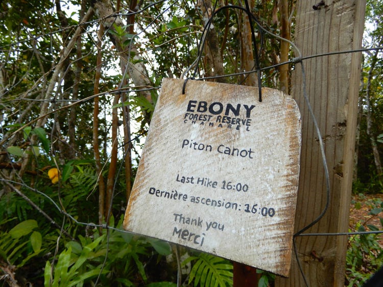 Ebony Forest  plant a tree and leave a legacy in a forest