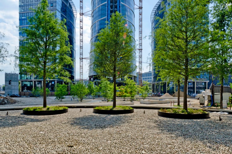 洋楽 Warsaw 51A-JyYxaKL._SY200_QL15_.jpg