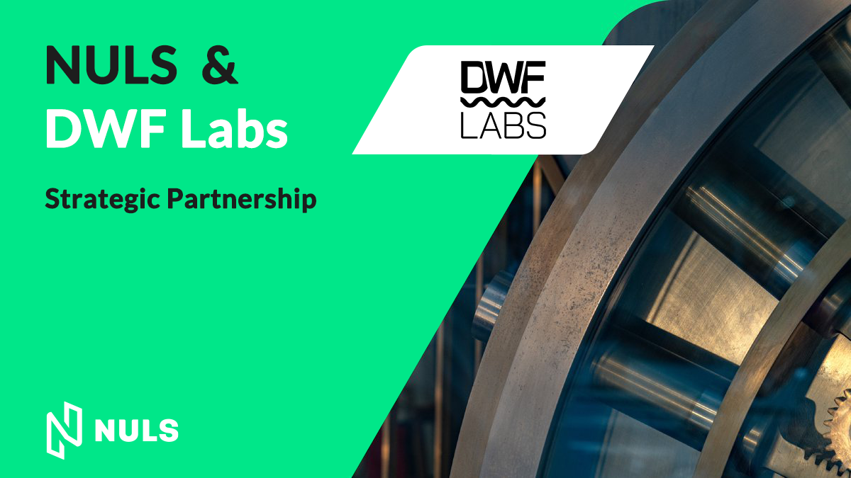 NULS & DWF Labs Strategic Investment & Partnership Announcement | by NULS  AI | Medium