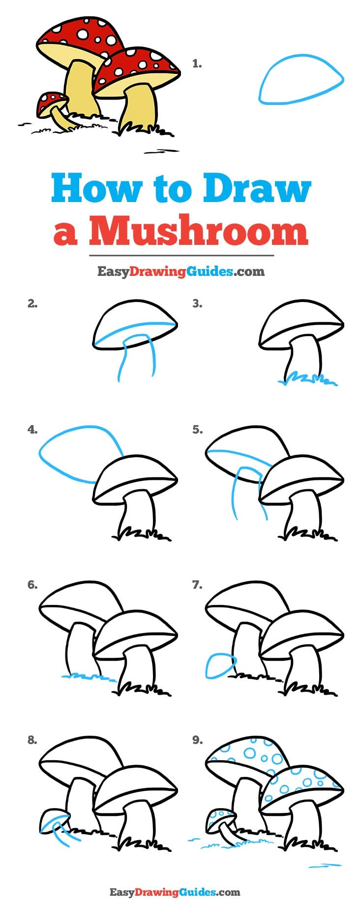 Capítulo 7 Introdução ao Draw