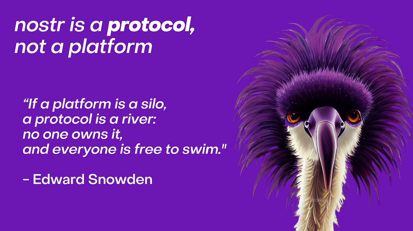 Introducing Nostr: The Free Speech Protocol | by Sovereign Matt | Medium