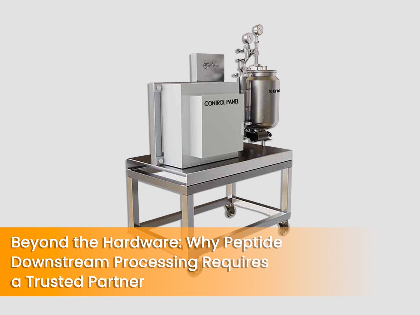 Beyond the Hardware: Why Peptide Downstream Processing Requires a Trusted Partner