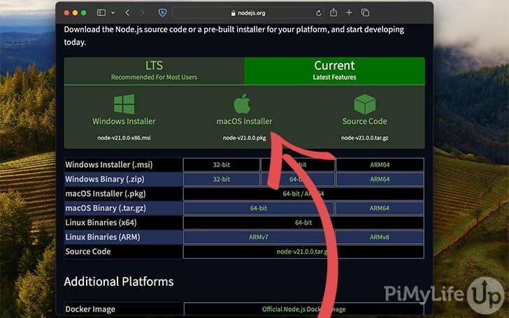How To Install Node.js And NPM On Windows and Mac | by Lena